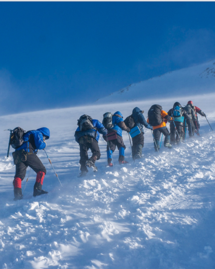 Crossing the Alps, not a Walk in the Park: Lessons from Large Airport Projects